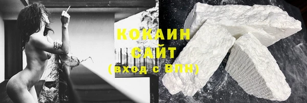 индика Богданович