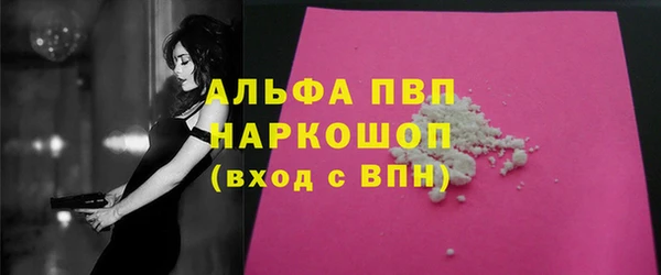 индика Богданович