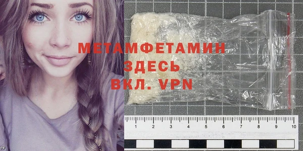 индика Богданович