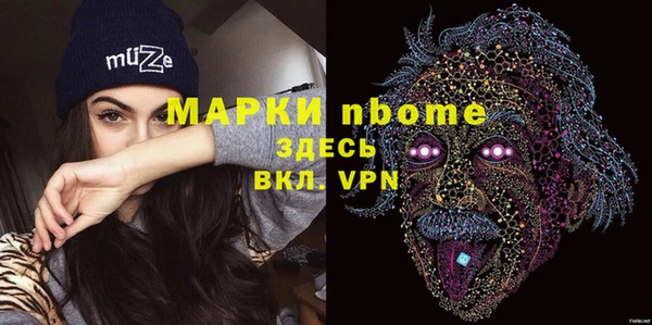 индика Богданович