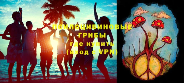 индика Богданович