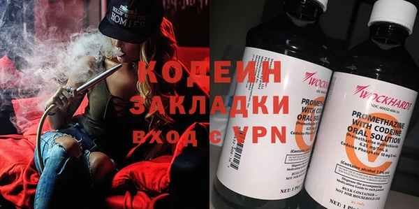индика Богданович