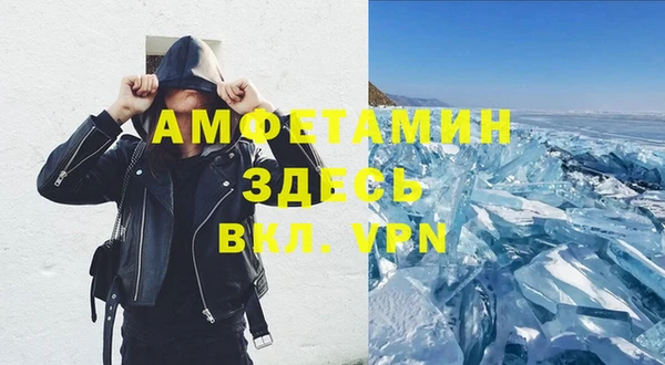 индика Богданович