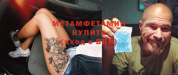 индика Богданович