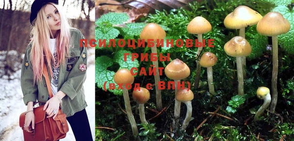 индика Богданович
